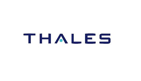 safenet smart card resource manager|thales safenet download.